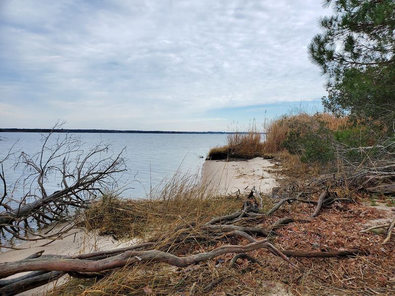 Best Time of Year to Visit Fossil Beach