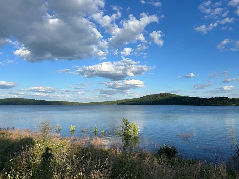 Big Dams, Bigger Numbers Big Dams, Bigger Numbers