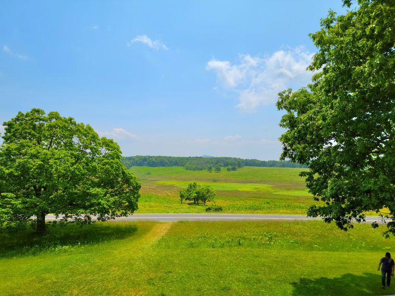 Big Meadows Turns Into a Wildlife Theater
