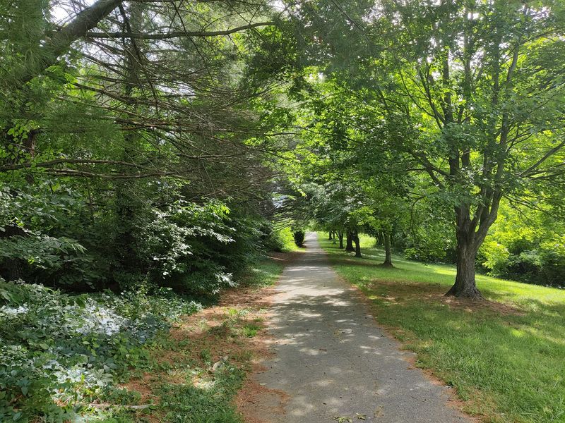 Big Rail Dreams Meet a Blacksburg Backroad Big Rail Dreams Meet a Blacksburg Backroad