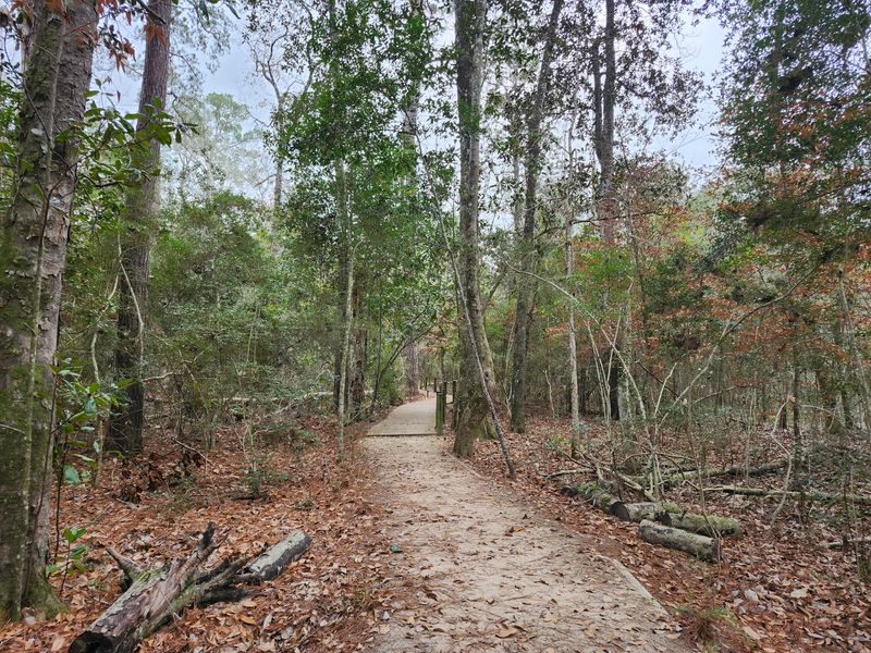 Big Thicket National Preserve Big Thicket National Preserve