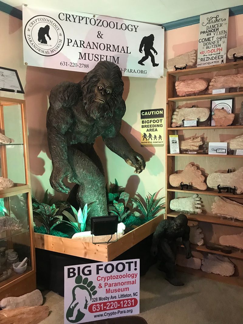 Bigfoot Footprints That Make the Room Feel Taller