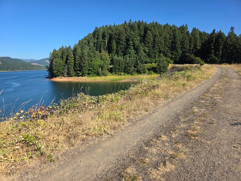 Biking the Row River Trail