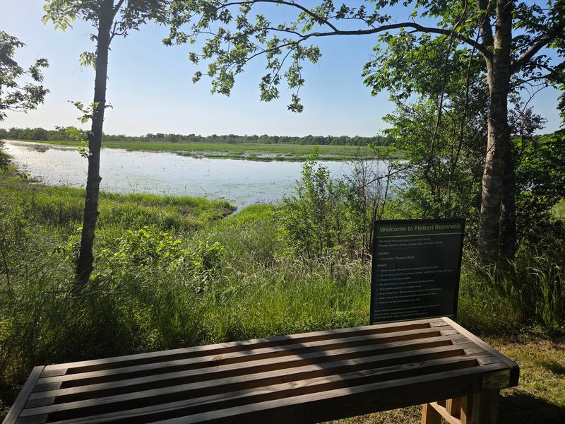 Birds, Blinds And The Central Flyway