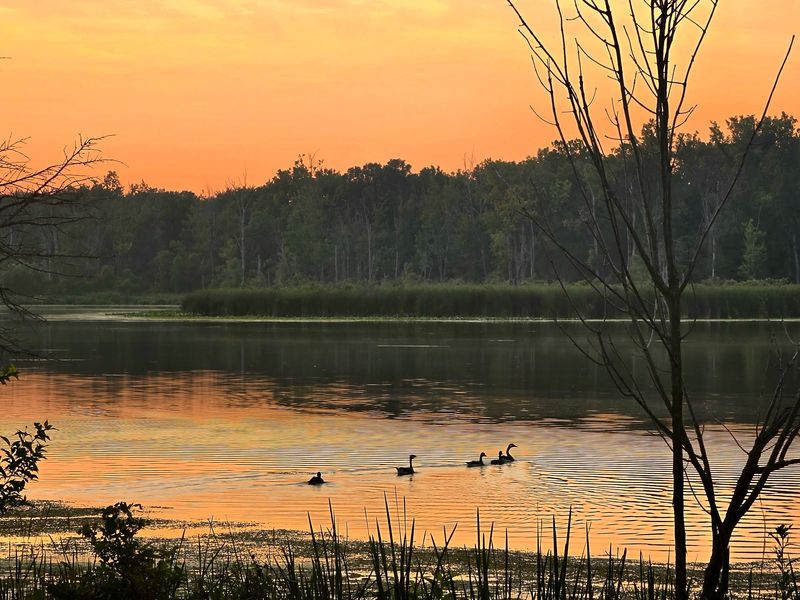 Birdwatching Where the Habitats Stack Up Birdwatching Where the Habitats Stack Up