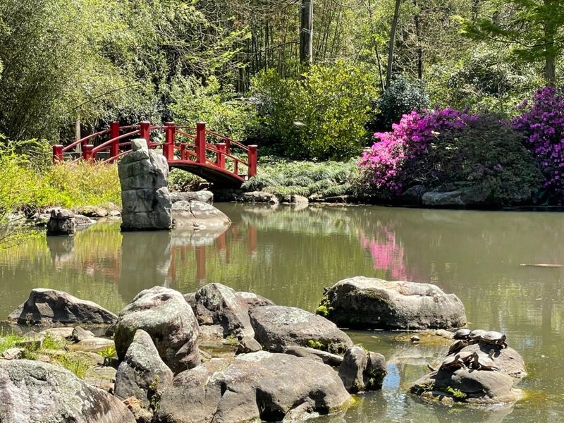 Birmingham Botanical Gardens, a Green Playground for Curious Minds Birmingham Botanical Gardens, a Green Playground for Curious Minds