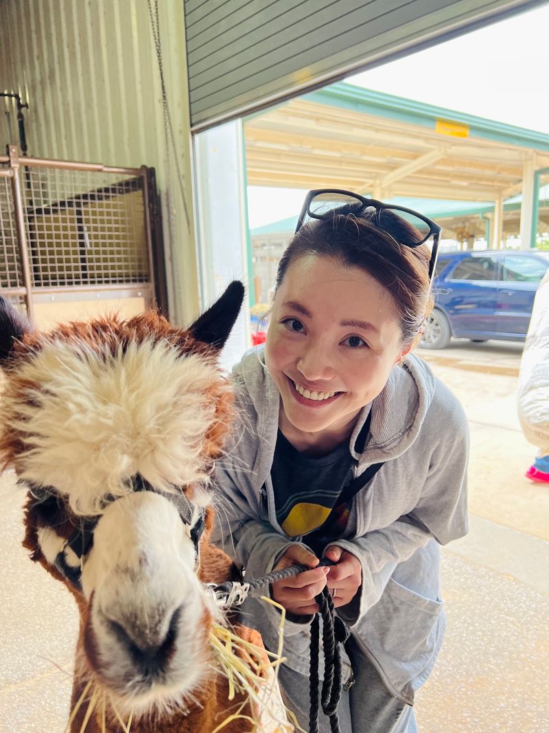 Birthdays, Engagements, and Alpacas on the Road