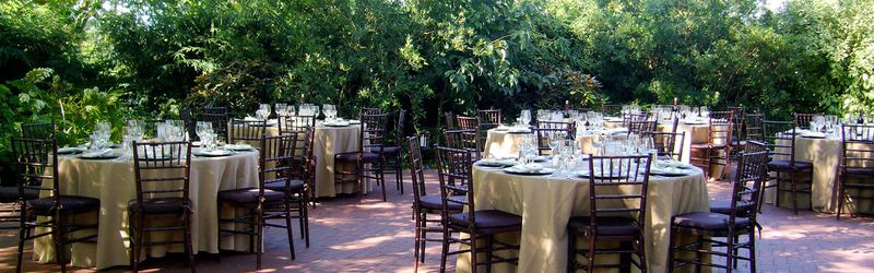 Black Rabbit and the Dining Lineup