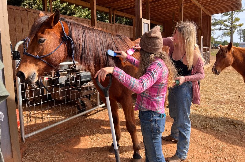 Bluebell's Horsemanship Program And Its Gentle Approach Bluebell's Horsemanship Program And Its Gentle Approach