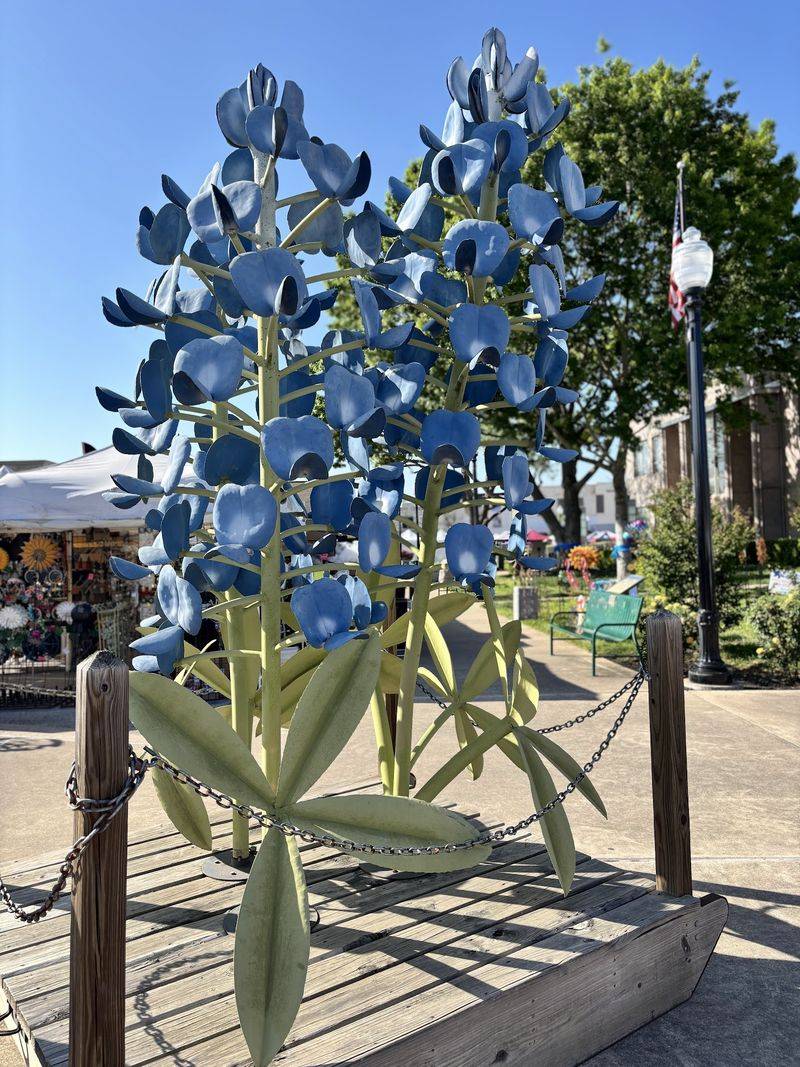 Bluebonnet Season, Festivals, and the Hill Country Flyer