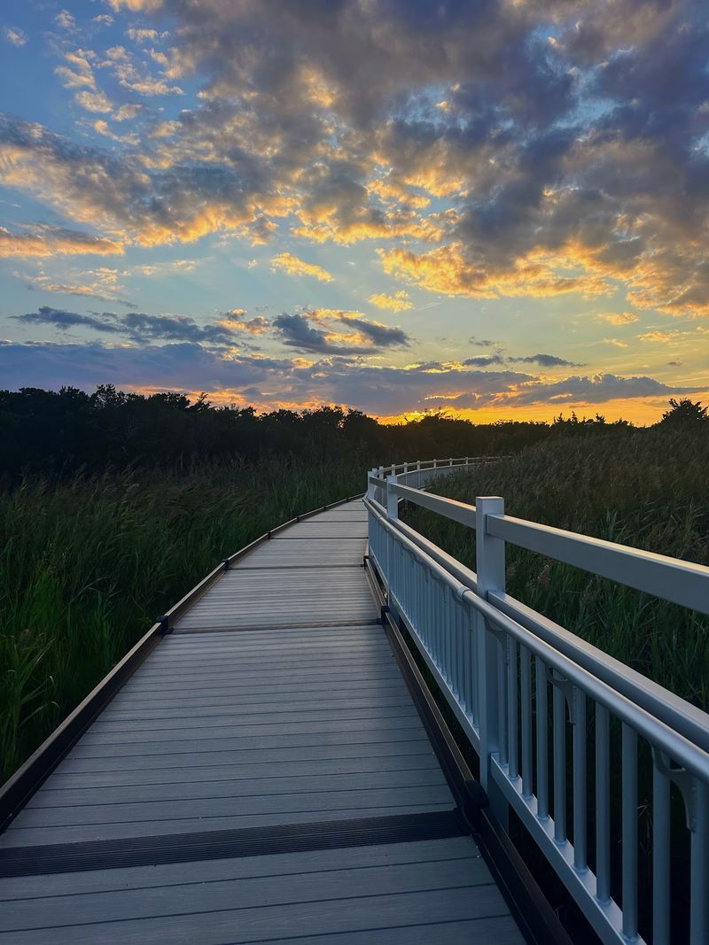 Boardwalks, Blinds And Trails Built For Everyone Boardwalks, Blinds And Trails Built For Everyone