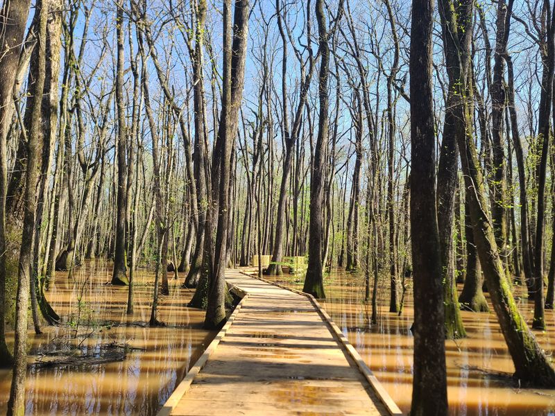 Boardwalks, Blinds, and a Visitor Center Worth the Stop