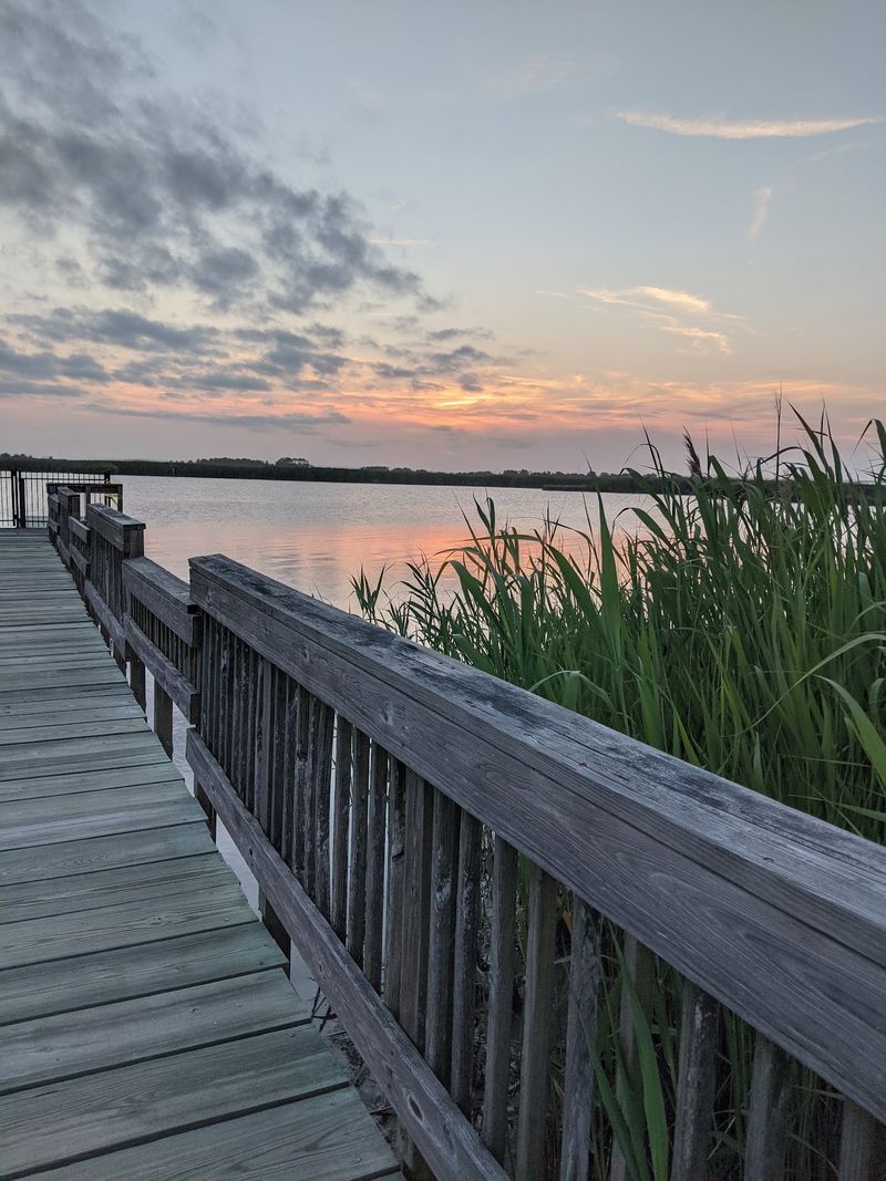 Boardwalks That Float You Right Over The Wetlands Boardwalks That Float You Right Over The Wetlands