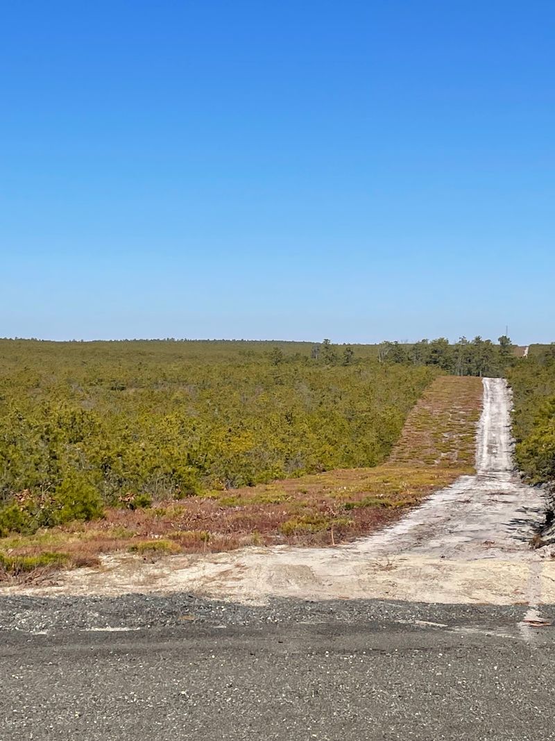 Bogs, Cedar Swamps and Slow Water Bogs, Cedar Swamps and Slow Water