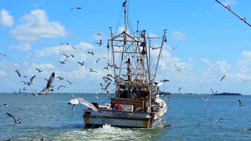 Bolivar Peninsula Bolivar Peninsula
