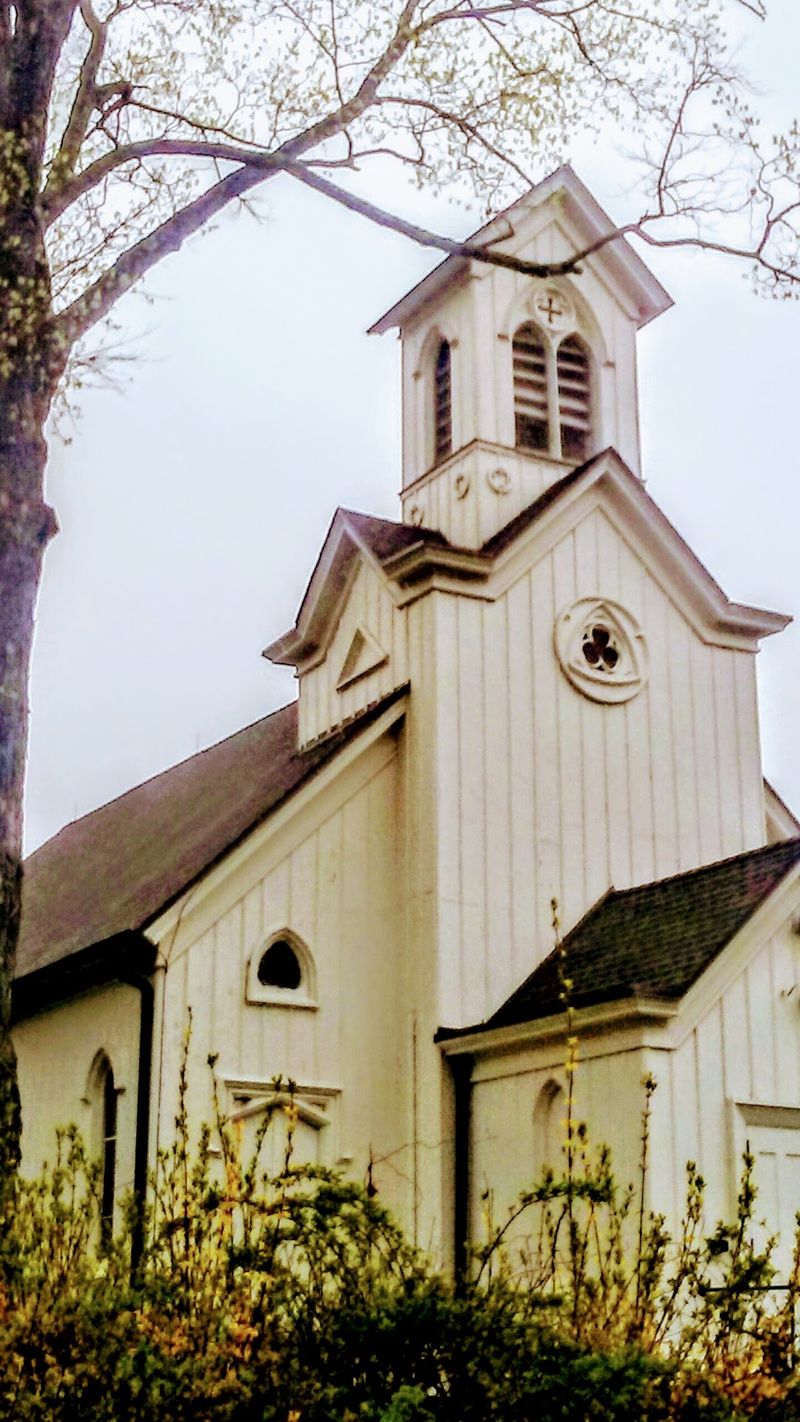 Books Where Hymns Once Rang