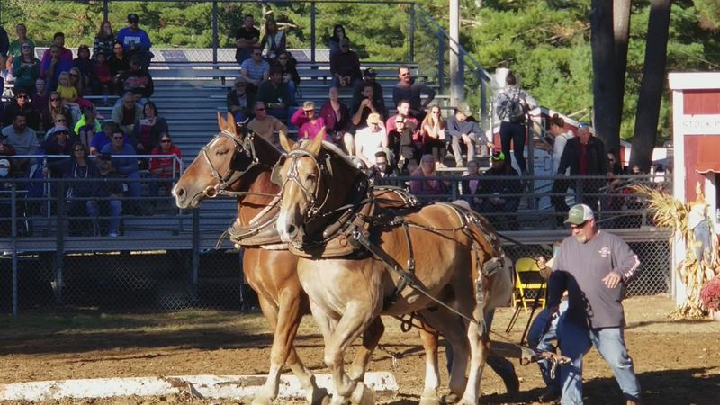 Born in the Age of Horse and Buggy Born in the Age of Horse and Buggy