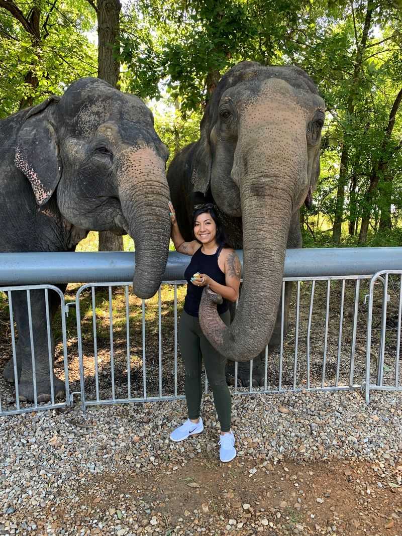 Breakfast Delivered by Trunk