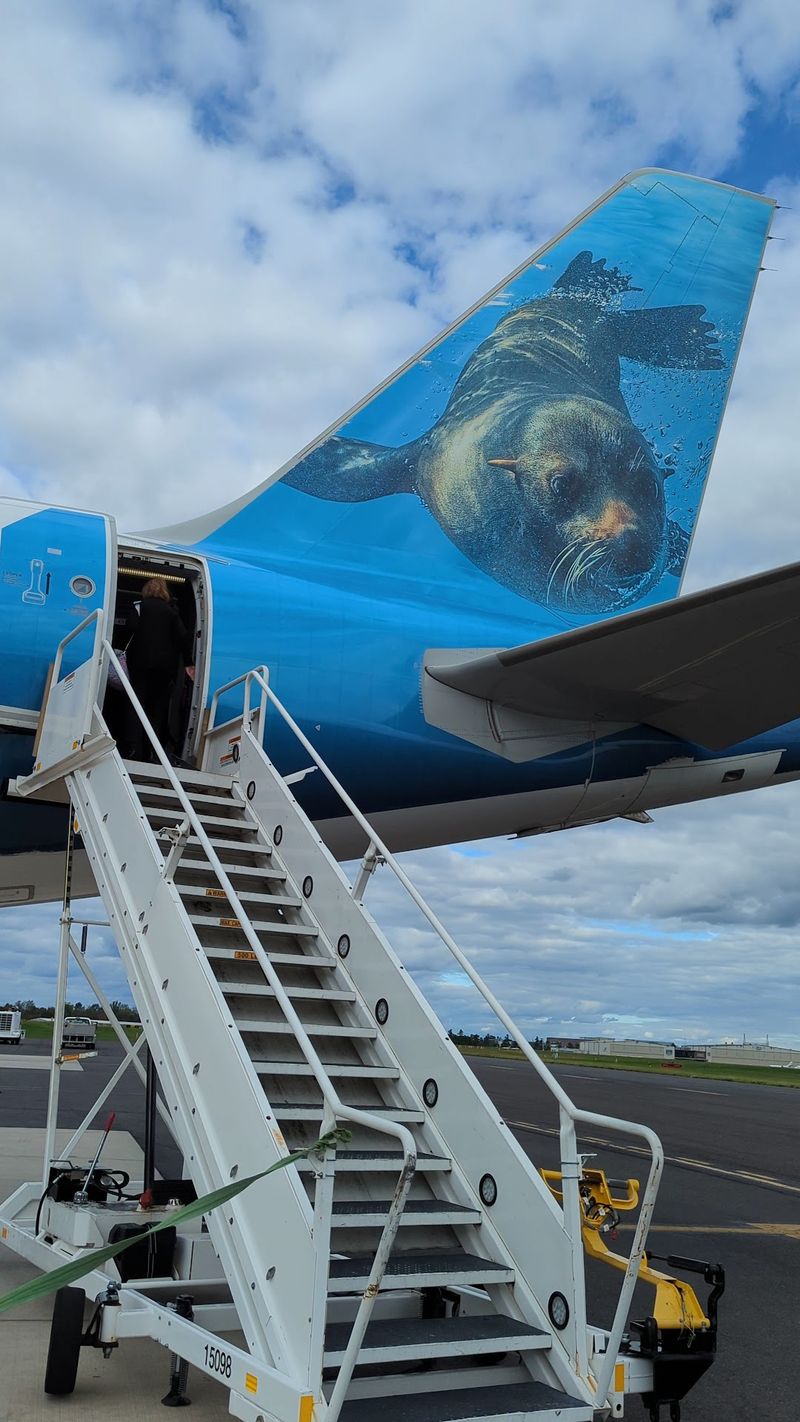 Breeze Airways Brings New Destinations Breeze Airways Brings New Destinations