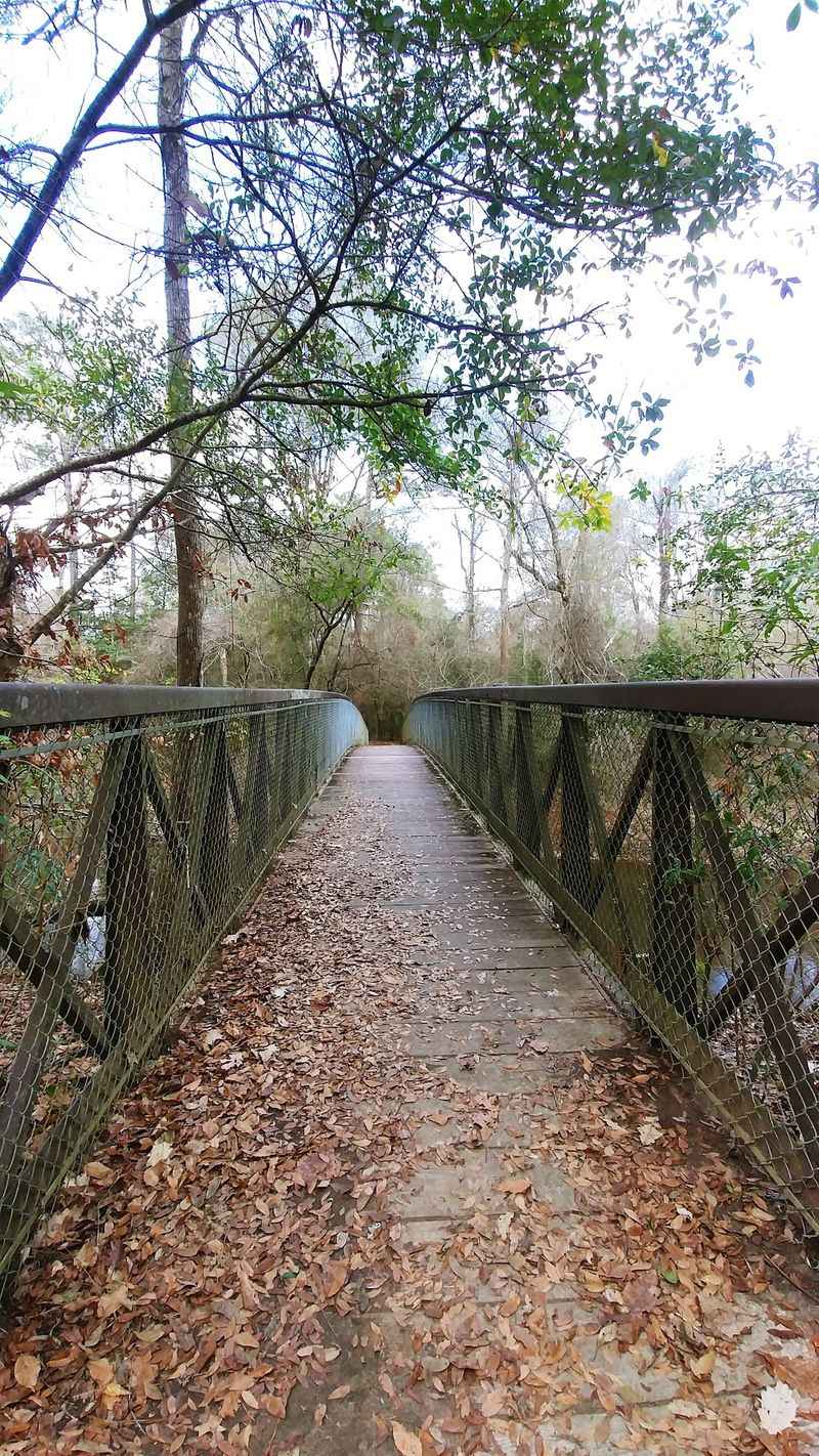 Bridges, Boardwalks And The Crossing Over Village Creek