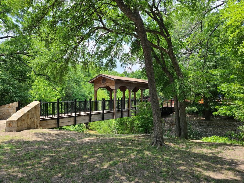 Bridges Where Turtles Steal The Show