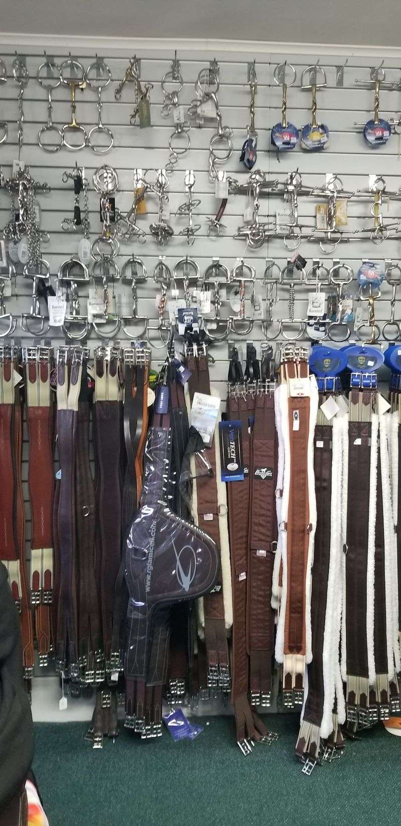 Bridles, Bits, and Everything Between Bridles, Bits, and Everything Between
