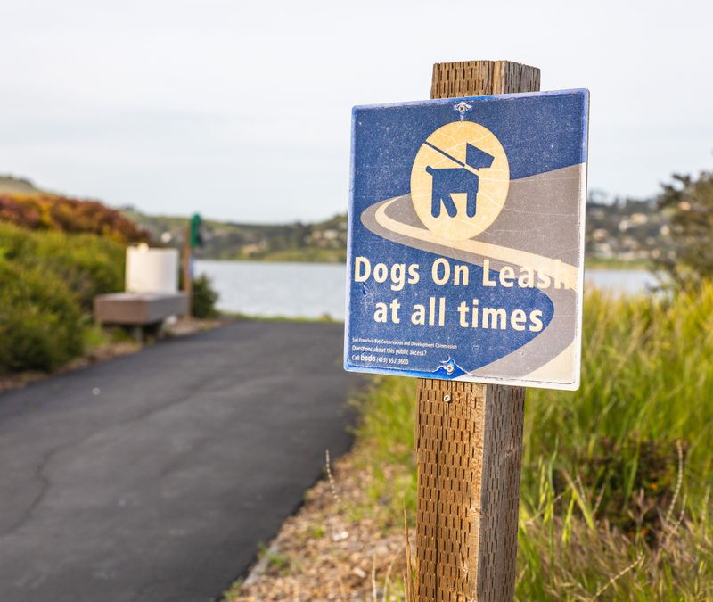 Bring Your Dog, But Watch Them Closely Bring Your Dog, But Watch Them Closely