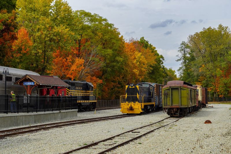 Brunch With a View of Changing Leaves