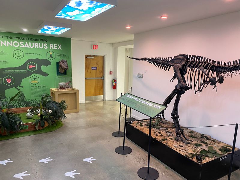 Brushing Dirt Off A Coelophysis Brushing Dirt Off A Coelophysis