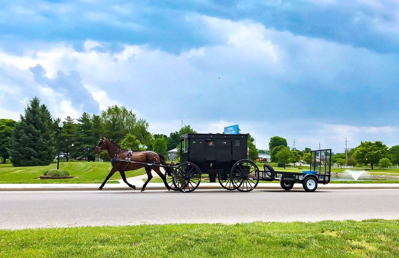Buggies Are Not Props Here, They Are Traffic Buggies Are Not Props Here, They Are Traffic