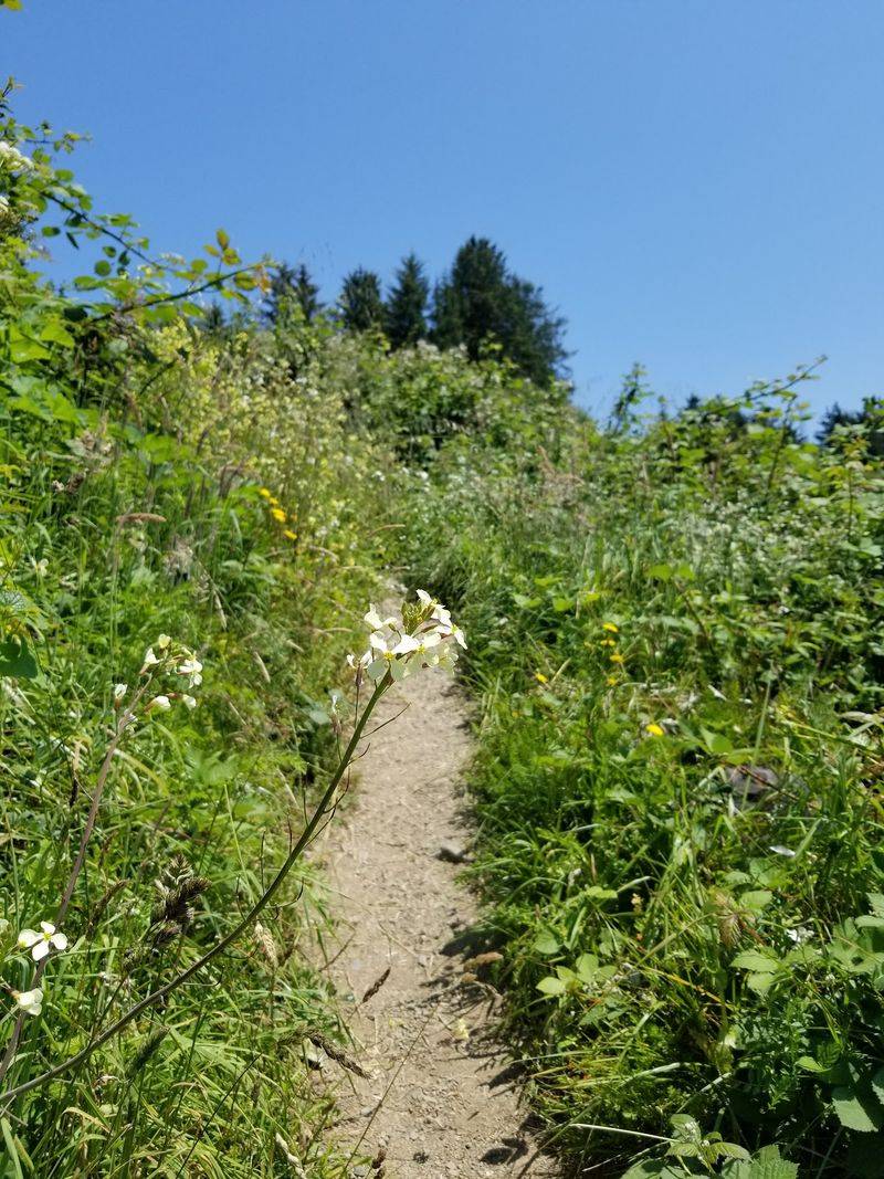 Building a Full Day Around Klamath and the River
