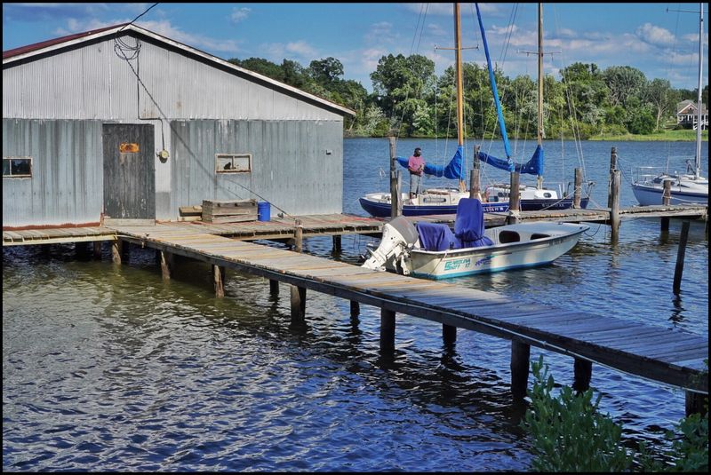 Buying Oysters Straight From Local Growers