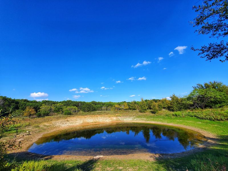 Camping Under Oaks With A Side Of History
