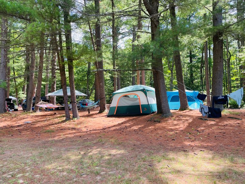 Camping Under The Pines At Beaver Pond Campground Camping Under The Pines At Beaver Pond Campground