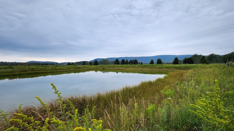 Canaan Valley's Wild Wetland Heart