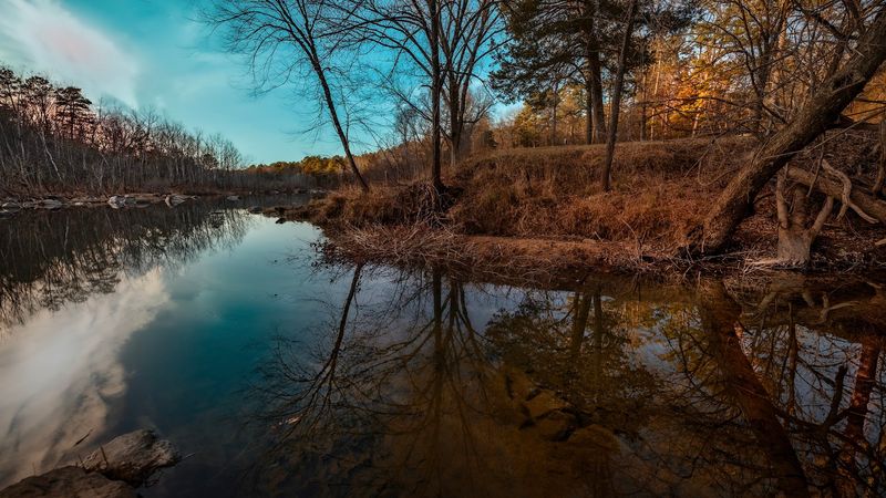 Casting A Line And Spotting Wildlife