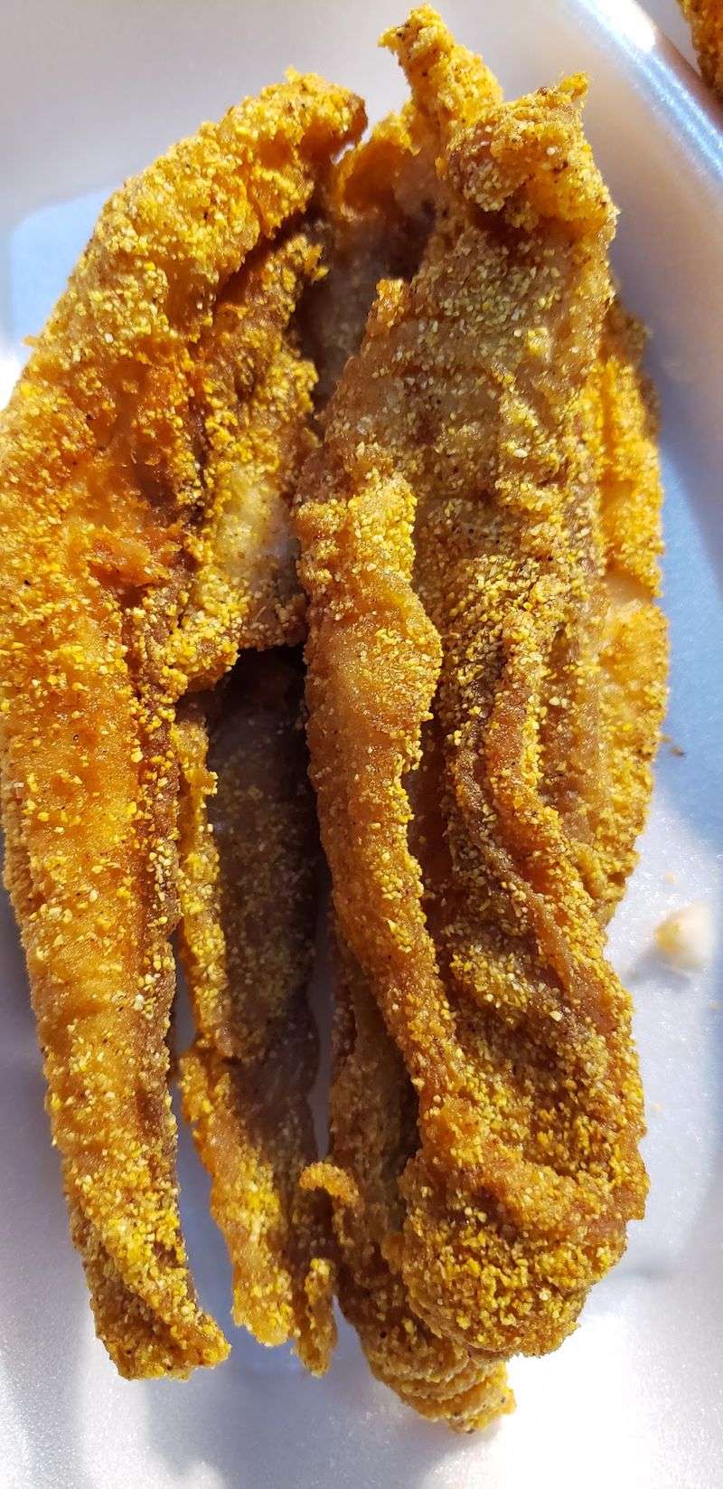 Catfish Fried Right, And Roughly 500 Pounds Of It Each Weekend Catfish Fried Right, And Roughly 500 Pounds Of It Each Weekend