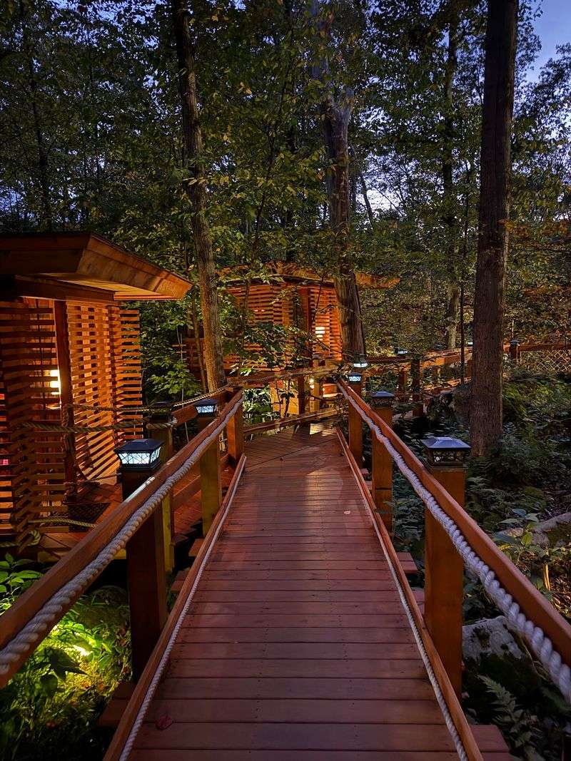 Cedar Dining Pods Tucked Into the Woods