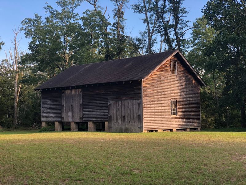 Cedar Logs and the Sound of an Old Sawmill