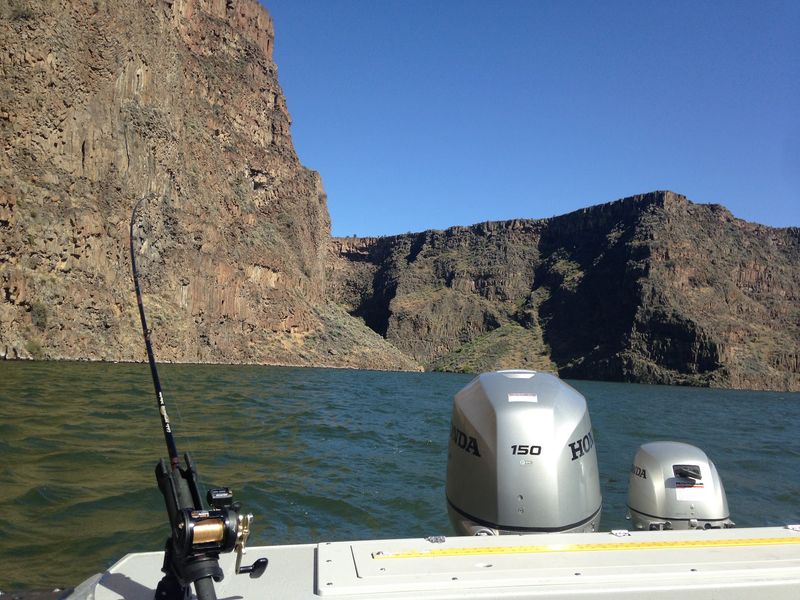 Chasing Kokanee and Bull Trout Chasing Kokanee and Bull Trout