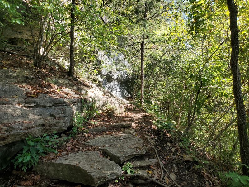 Chasing The Waterfall After A Good Rain Chasing The Waterfall After A Good Rain