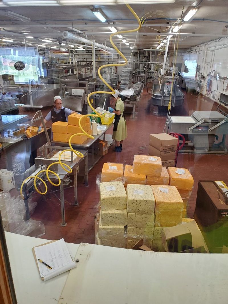 Cheese Made Right Behind the Glass Cheese Made Right Behind the Glass