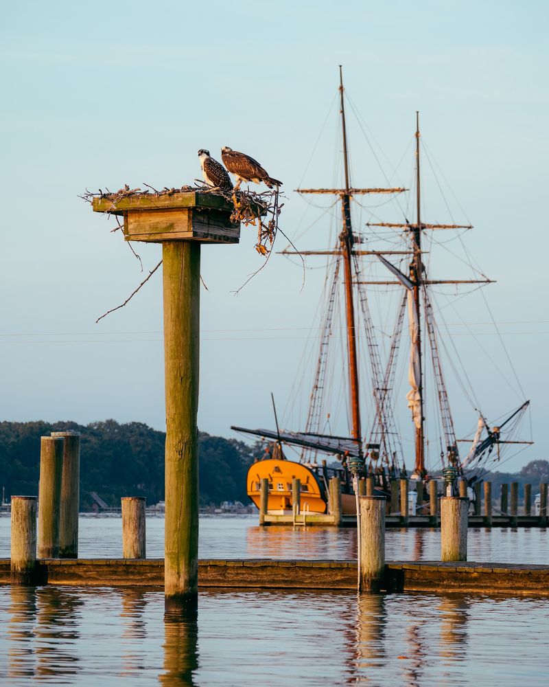 Chestertown Chestertown