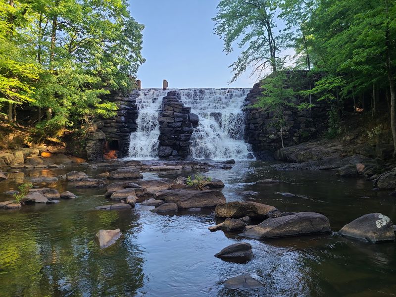 Chewacla State Park and the Woods Next Door