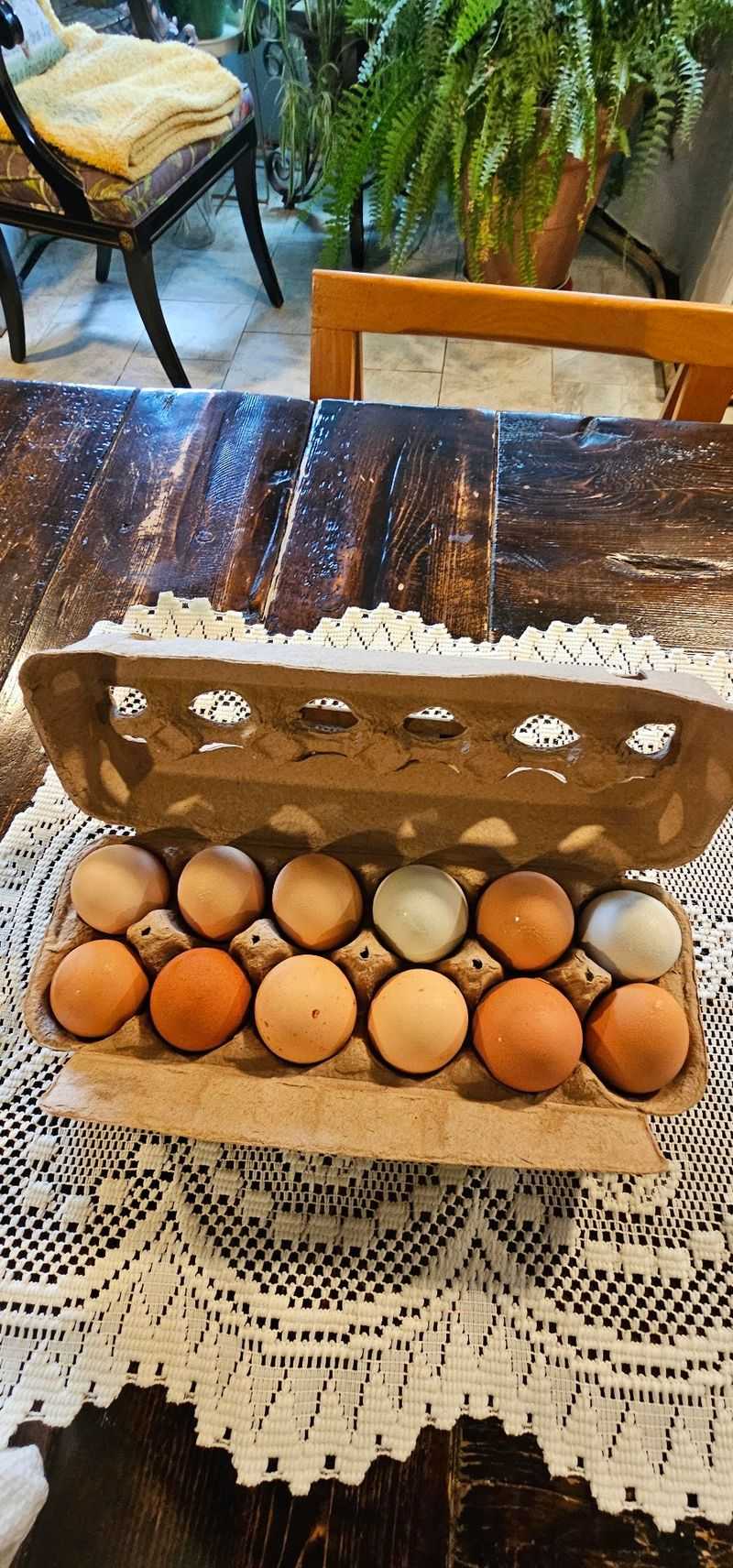 Chicken And Duck Eggs In Every Shade