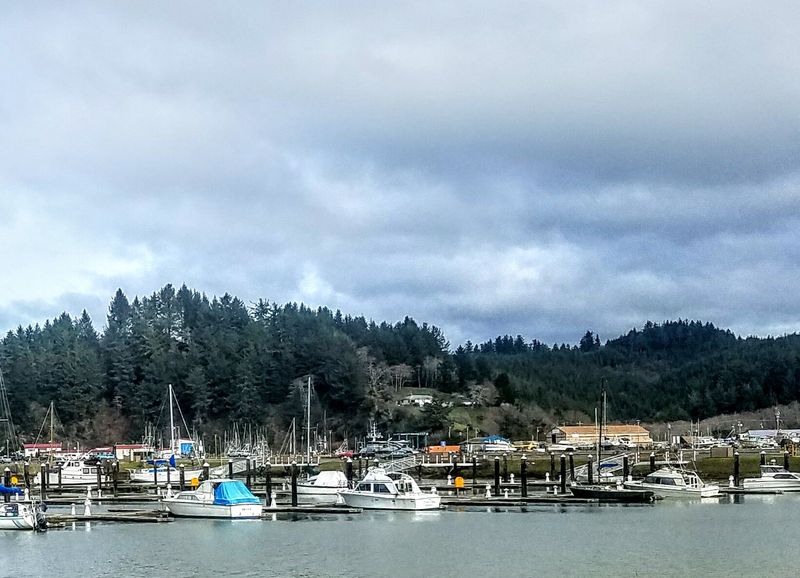 Chowder Bowls And Fried Seafood Baskets