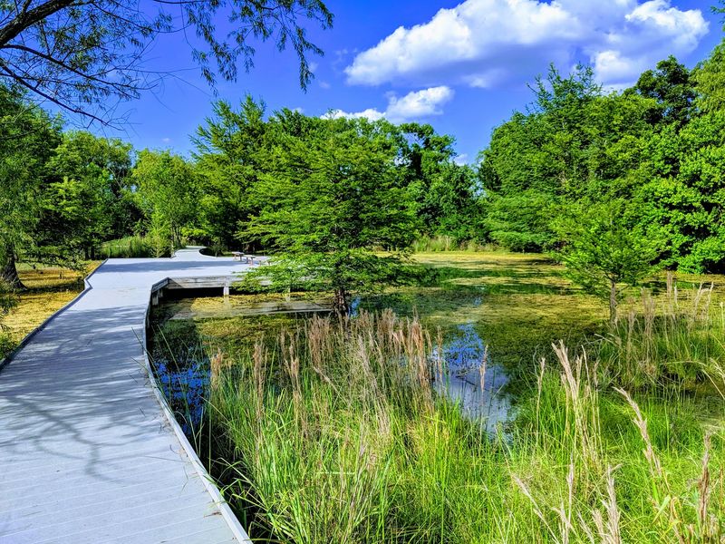 Cibolo Trail, Where the Creek Sets the Pace