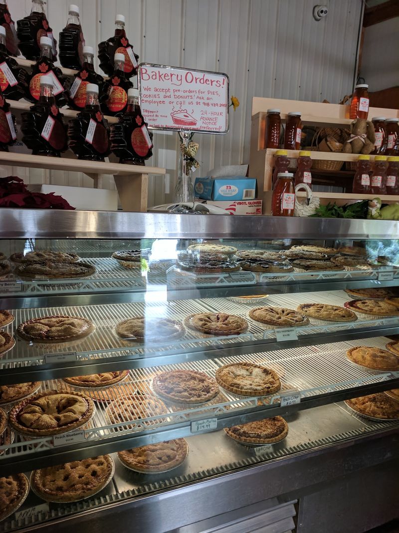 Cider Donuts And The Bakery Counter Cider Donuts And The Bakery Counter