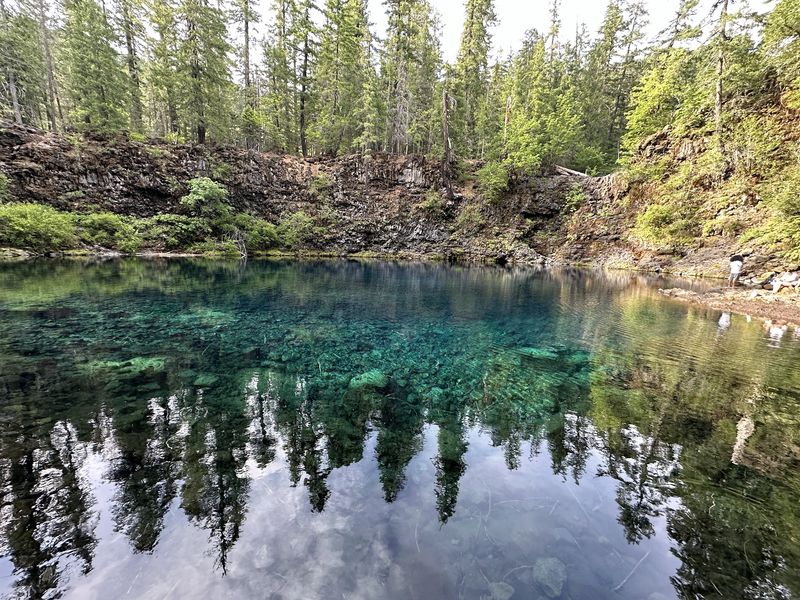 Clear Lake, Where The Sunken Forest Waits Below Clear Lake, Where The Sunken Forest Waits Below