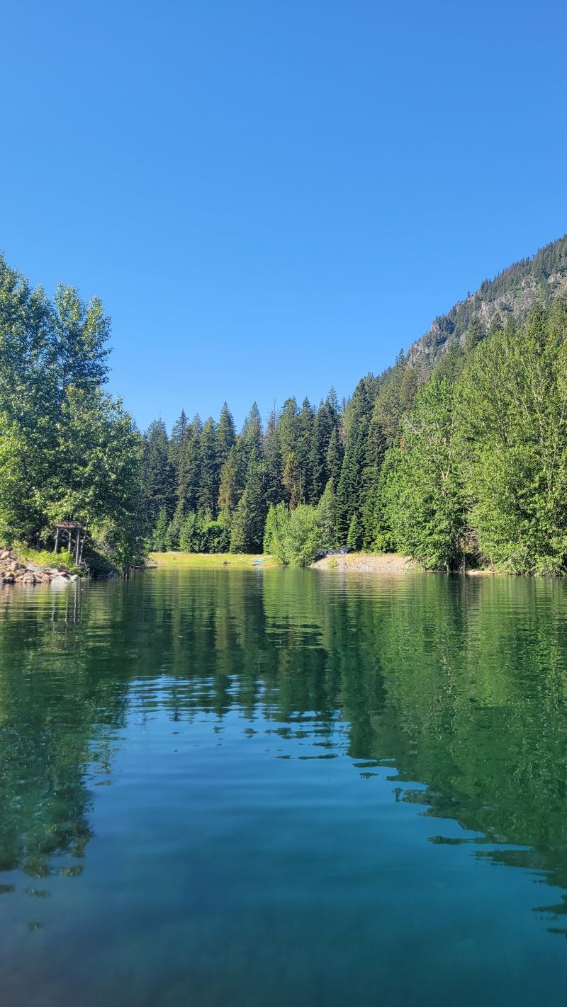 Clear Water That Shows Off Fish And Their Predators